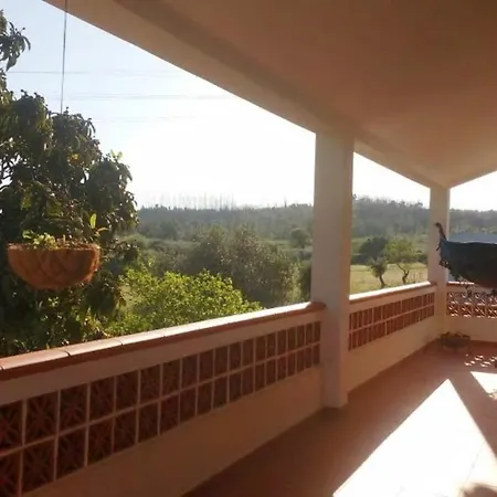 Quinta Do Americano Sardoal Exterior photo
