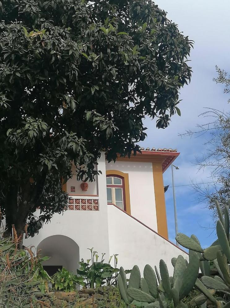 Apartment Quinta Do Americano